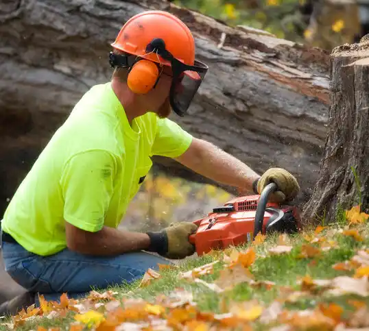 tree services Valley City